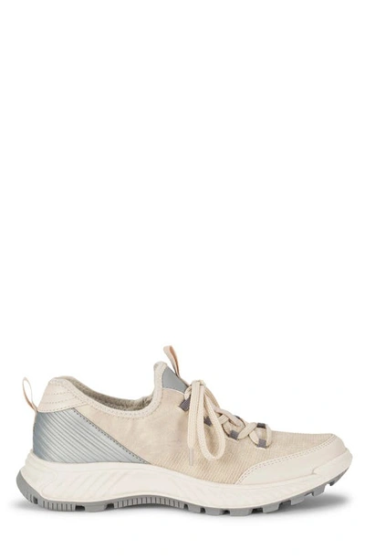 Shop Baretraps Malina Sneaker In Cream/ Light Grey