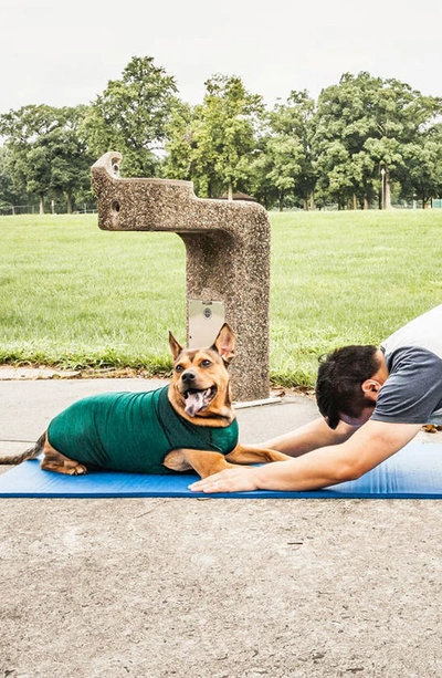 Shop Pet Life Active 'aero-pawlse' Heathered Tank Top In Green