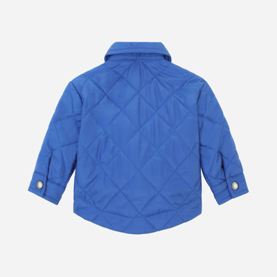 Shop Dolce & Gabbana Quilted Nylon Jacket With Logo Plate In Blue