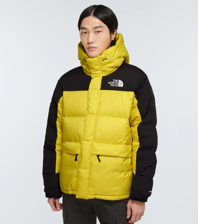 Shop The North Face Himalayan Down Parka In Acid Yellow