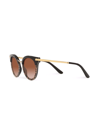 Dolce & Gabbana Leopard-print Round Frame Sunglasses In Brown