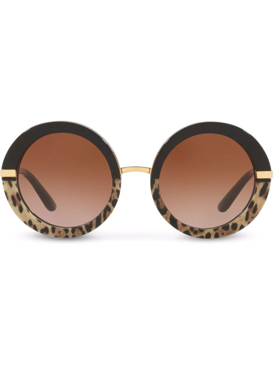 Dolce & Gabbana Women's Sunglasses, Gradient Dg4393 In Brown
