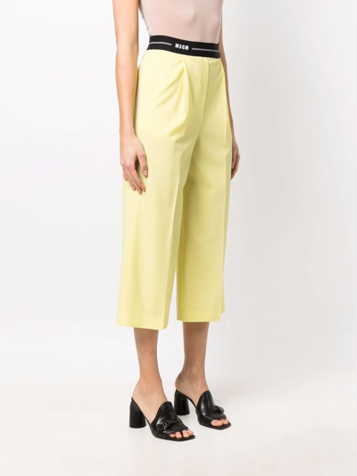 Shop Msgm Logo-waist Cropped Trousers In Yellow