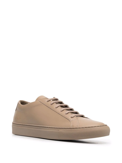 Common Projects Low Top Leather Sneakers In Brown