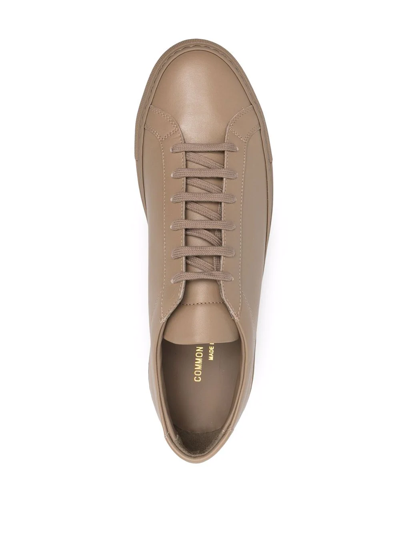 Common Projects Low Top Leather Sneakers In Brown