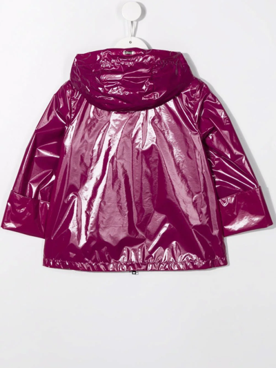 Shop Herno Zipped-up Rain Coat In Purple