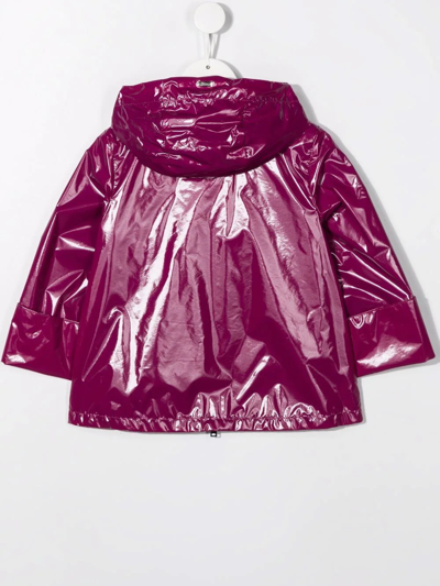 Herno Waterproof Jacket In Purple