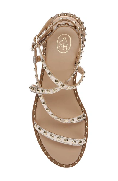 Shop Ash Petra Studded Sandal In Light Gold