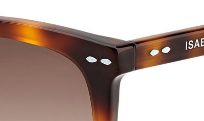 Shop Isabel Marant 55mm Rectangular Sunglasses In Dark Havana/ Brown Gradient