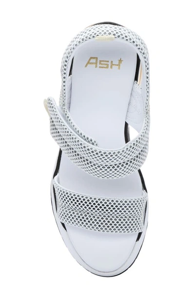 Shop Ash Cosmos Sandal In White/ Gray