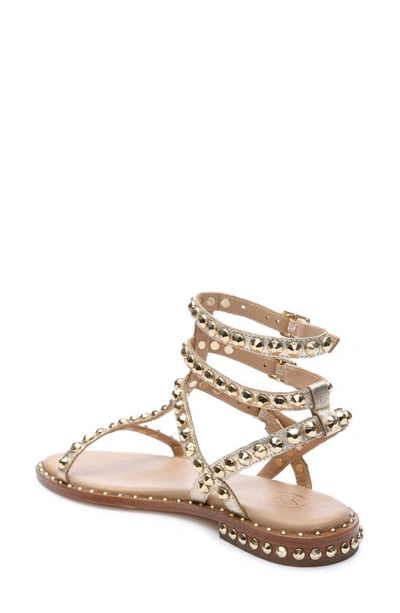 Shop Ash Play Studded Sandal In Light Gold