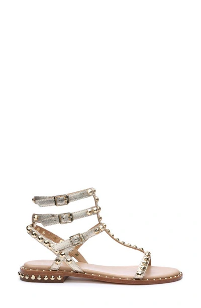 Shop Ash Play Studded Sandal In Light Gold