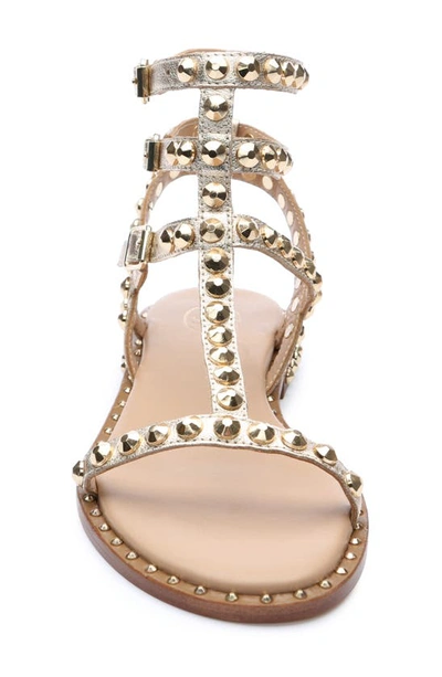 Shop Ash Play Studded Sandal In Light Gold