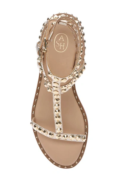 Shop Ash Play Studded Sandal In Light Gold