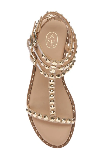 Shop Ash Play Studded Sandal In Skin