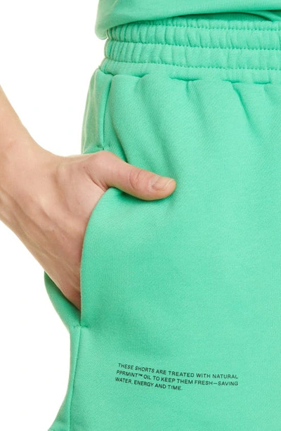Shop Pangaia 365 Pprmint™ Unisex Organic Cotton Sweat Shorts In Jade Green
