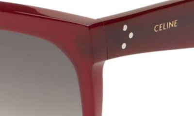 Shop Celine 55mm Cat Eye Sunglasses In Shiny Bordeaux / Brown