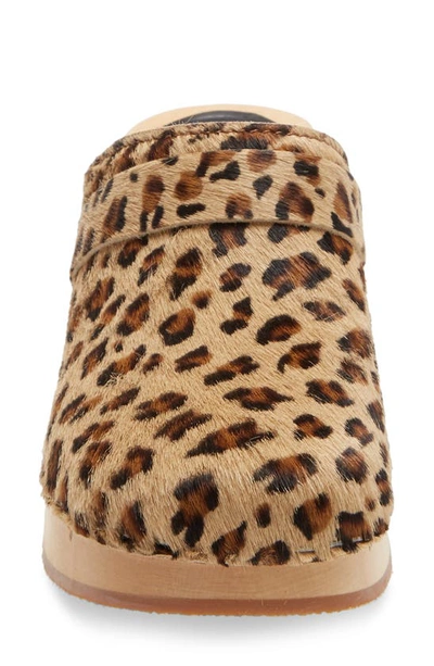 Shop Swedish Hasbeens Dagny Clog In Leopard Print Leather