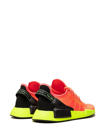 Adidas Originals Nmd_r1 V2 "watermelon Pack Pink" Sneakers In Pink