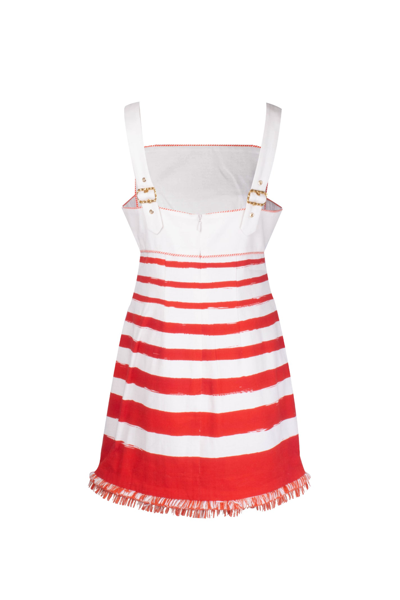 Shop Zimmermann Cotton Dress In Bianco/rosso