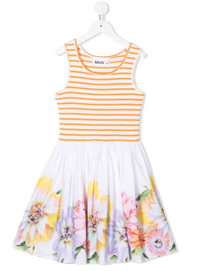 Shop Molo Stripe-floral Print Dress In White