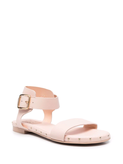 Shop Agl Attilio Giusti Leombruni Sveva Leather Sandals In Pink