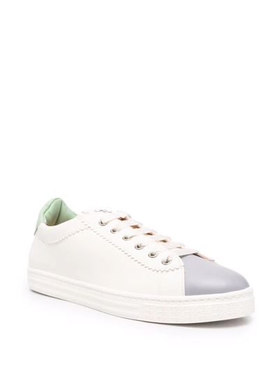 Shop Agl Attilio Giusti Leombruni Sade Panelled Sneakers In White