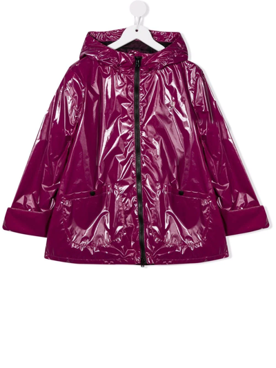 Shop Herno Hooded Zipped Jacket In Purple