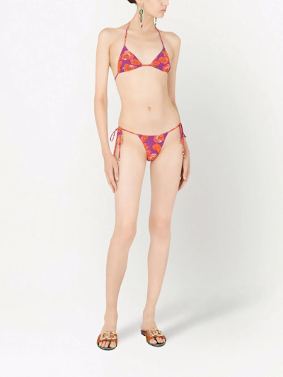 Shop Dolce & Gabbana Poppy-print Triangle Bikini In Violett