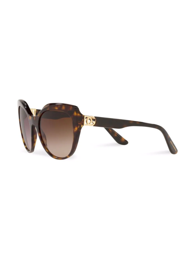 Shop Dolce & Gabbana Tortoise Round-frame Sunglasses In Braun