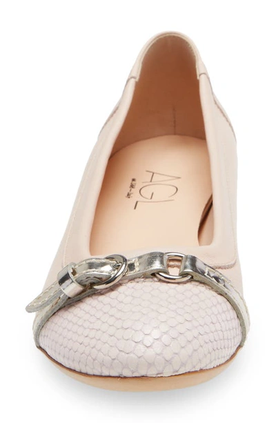 Shop Agl Attilio Giusti Leombruni Monika Cap Toe Ballet Flat In Penny Golden