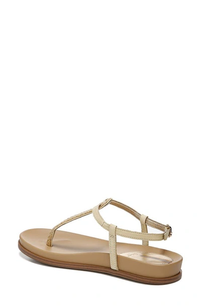 Shop Sam Edelman Naomi Sandal In Desert Sun