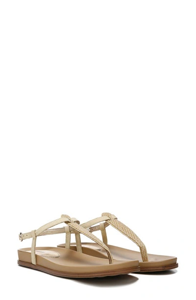 Shop Sam Edelman Naomi Sandal In Desert Sun