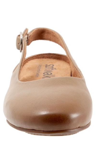 Softwalk Sandy Slingback Flat Sandal In Taupe Leather