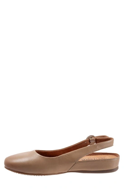 Softwalk Sandy Slingback Flat Sandal In Taupe Leather