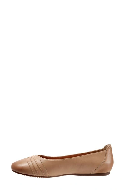 Shop Softwalk ® Safi Flat In Mocha