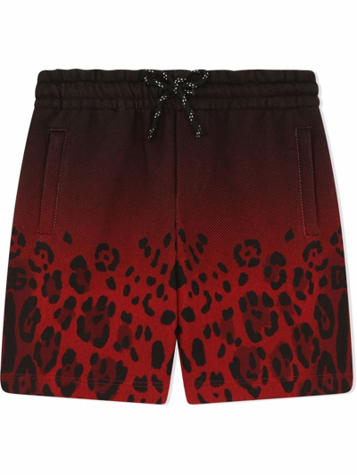 Dolce & Gabbana Gradient Leopard-print Shorts In Black