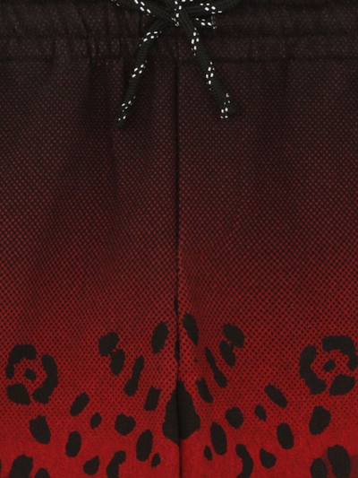Shop Dolce & Gabbana Gradient Leopard-print Shorts In Black