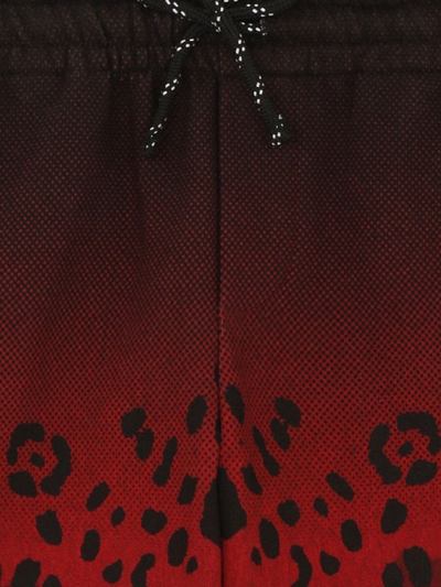 Dolce & Gabbana Gradient Leopard-print Shorts In Black