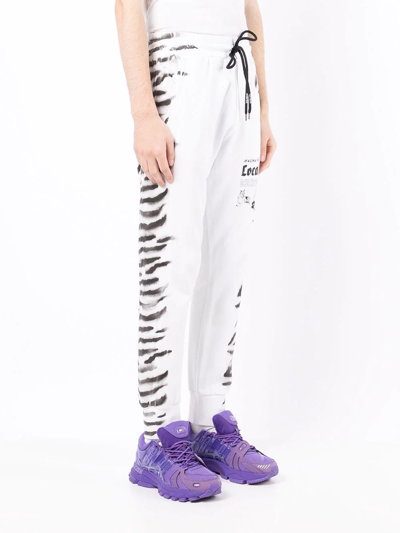 Mauna Kea Tiger-print Track Pants In White