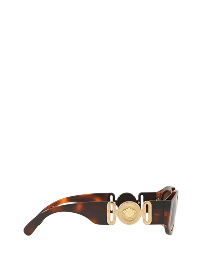 Shop Versace Unisex  Ve4361 Havana Unisex Sunglasses