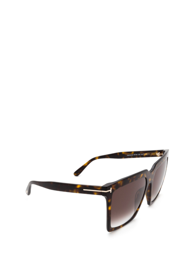 Shop Tom Ford Ft0764 Dark Havana Fe In Braun