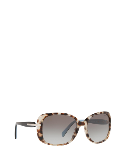 Shop Prada Pr 08os Spotted Brown Fe In Braun