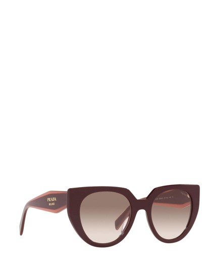 Shop Prada Pr 14ws Garnet Female Sunglasses