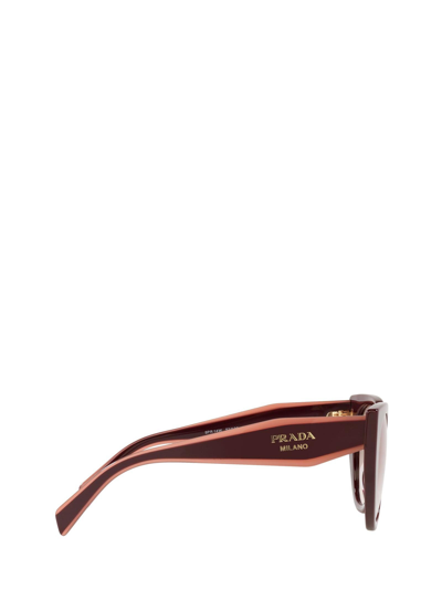 Shop Prada Pr 14ws Garnet Female Sunglasses