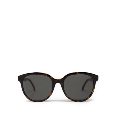 SAINT LAURENT SAINT LAURENT SL 317 HAVANA FEMALE SUNGLASSES 