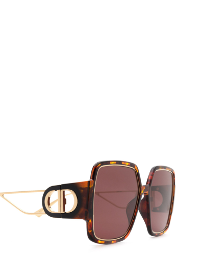 Shop Dior 30montaigne2 Havana Female Sunglasses