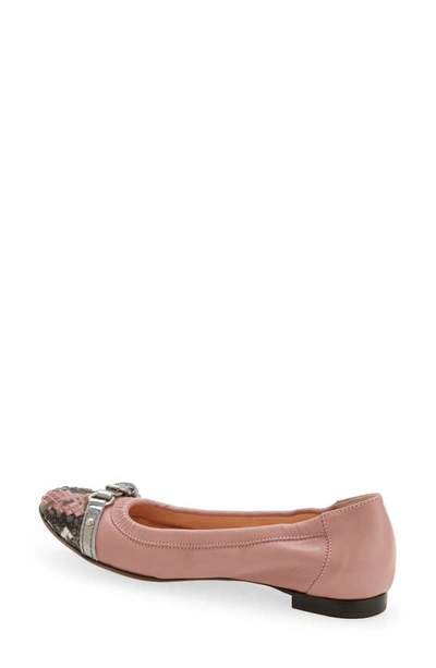 Shop Agl Attilio Giusti Leombruni Cap Toe Ballet Flat In Char/ Nike