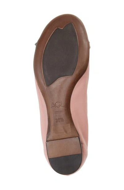 Shop Agl Attilio Giusti Leombruni Cap Toe Ballet Flat In Char/ Nike