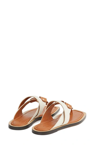 Shop Lafayette 148 Sabine Flip Flop In Natural